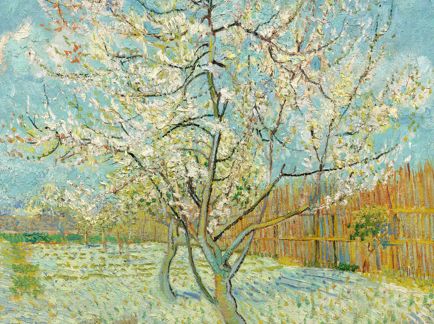 Обои коллекции Van Gogh, арт. BN 30541