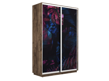 Шкаф-купе Экспресс Люкс 2-х дверный (Фото №1004 Джунгли темные)