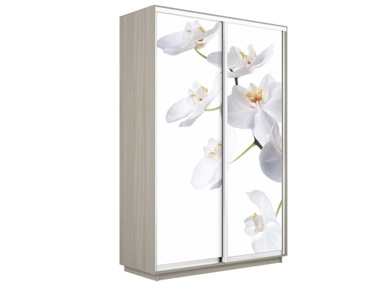 Шкаф-купе Экспресс 2-х дверный (Фото №1025 Орхидея белая), Ясень Мимо светлый